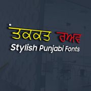 Asees Punjabi Font - Mtc Tutorials